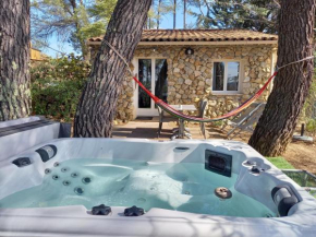 GITE AVEC SPA JACUZZI au cœur de Provence Côte d'Azur